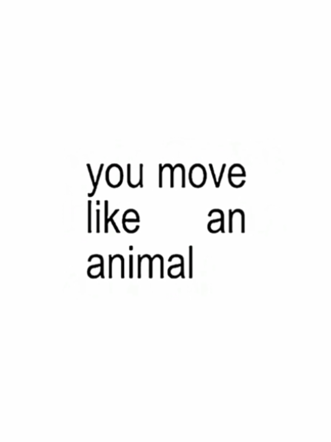 @dreii