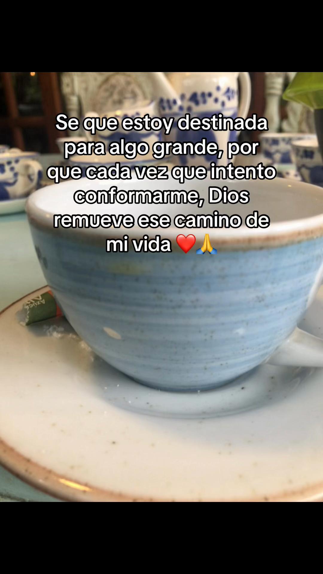 @TANIA ORTIZ