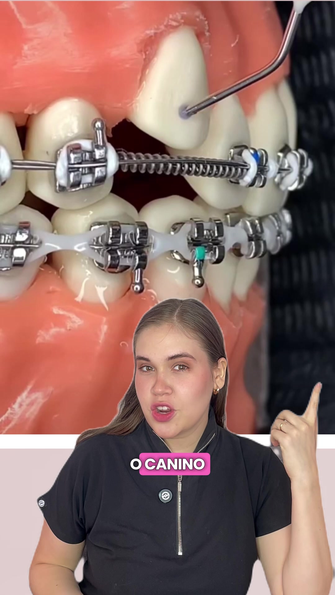 @odontologicals