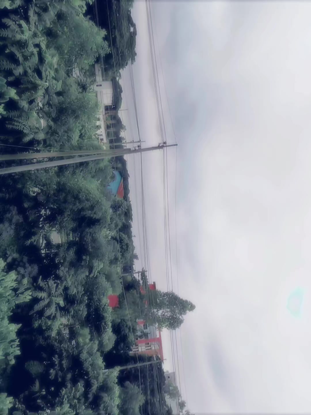 @👀타니사...아슬람🇰🇷