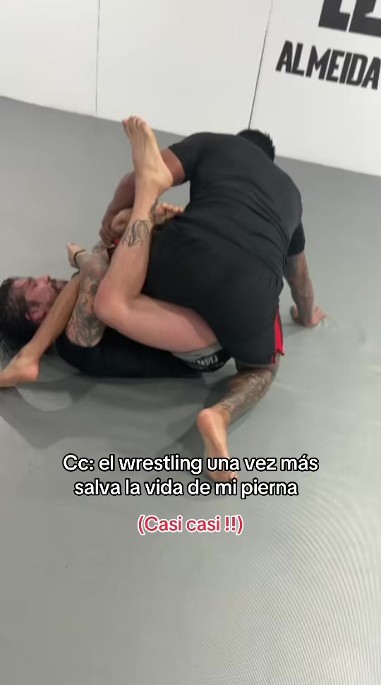 @Elfachero