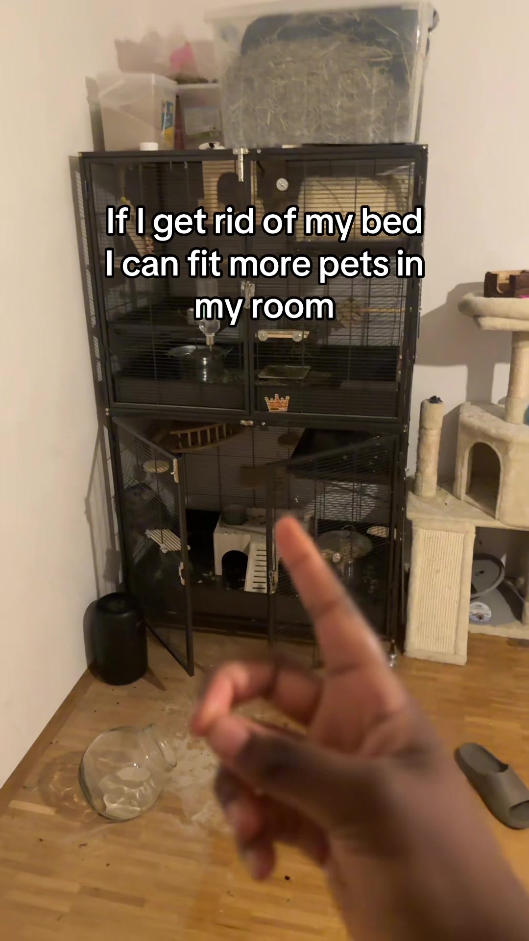 @BANDIT & STRIPE
