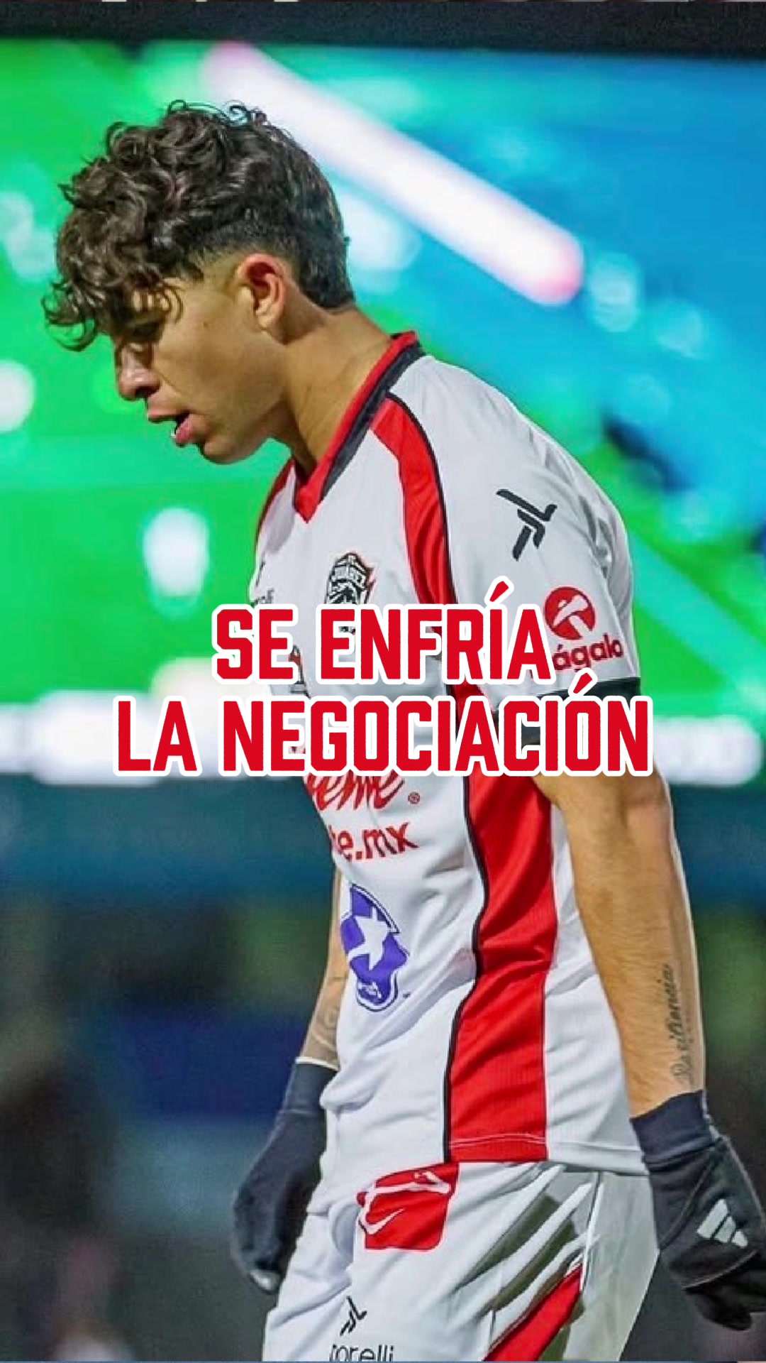 @Jesús Bernal
