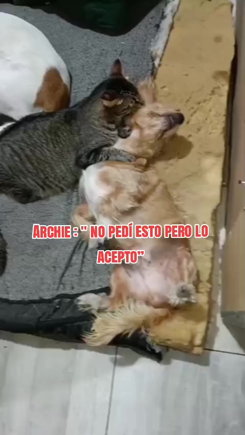 @QuimeyMacarena