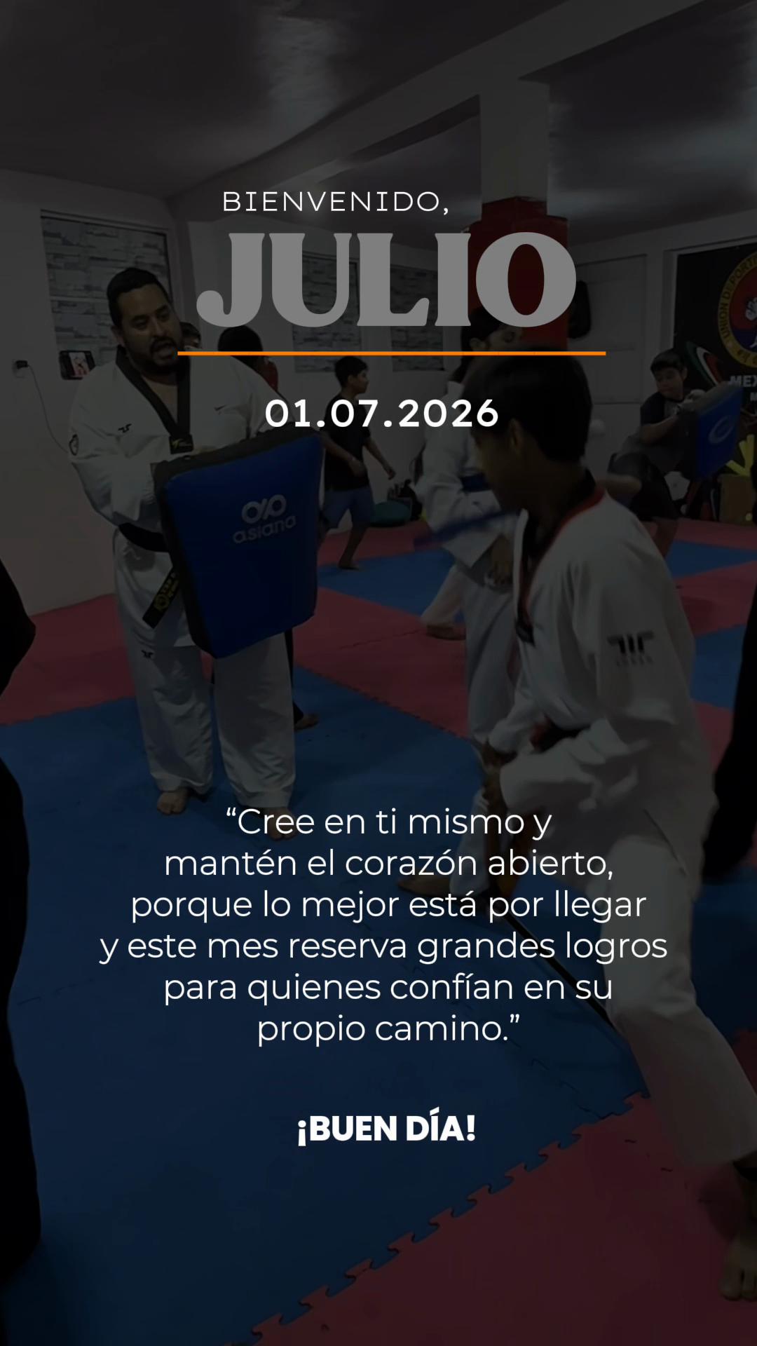 @taekwondolionsteam