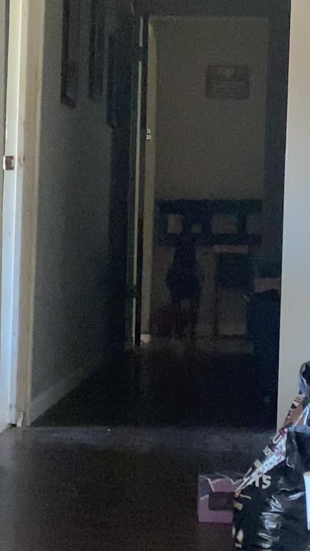 @Horses TikTok