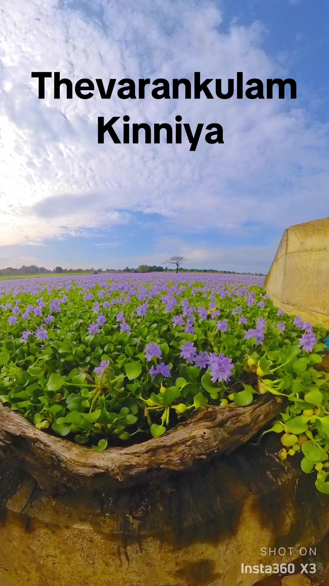 @m.z.m.kiyas