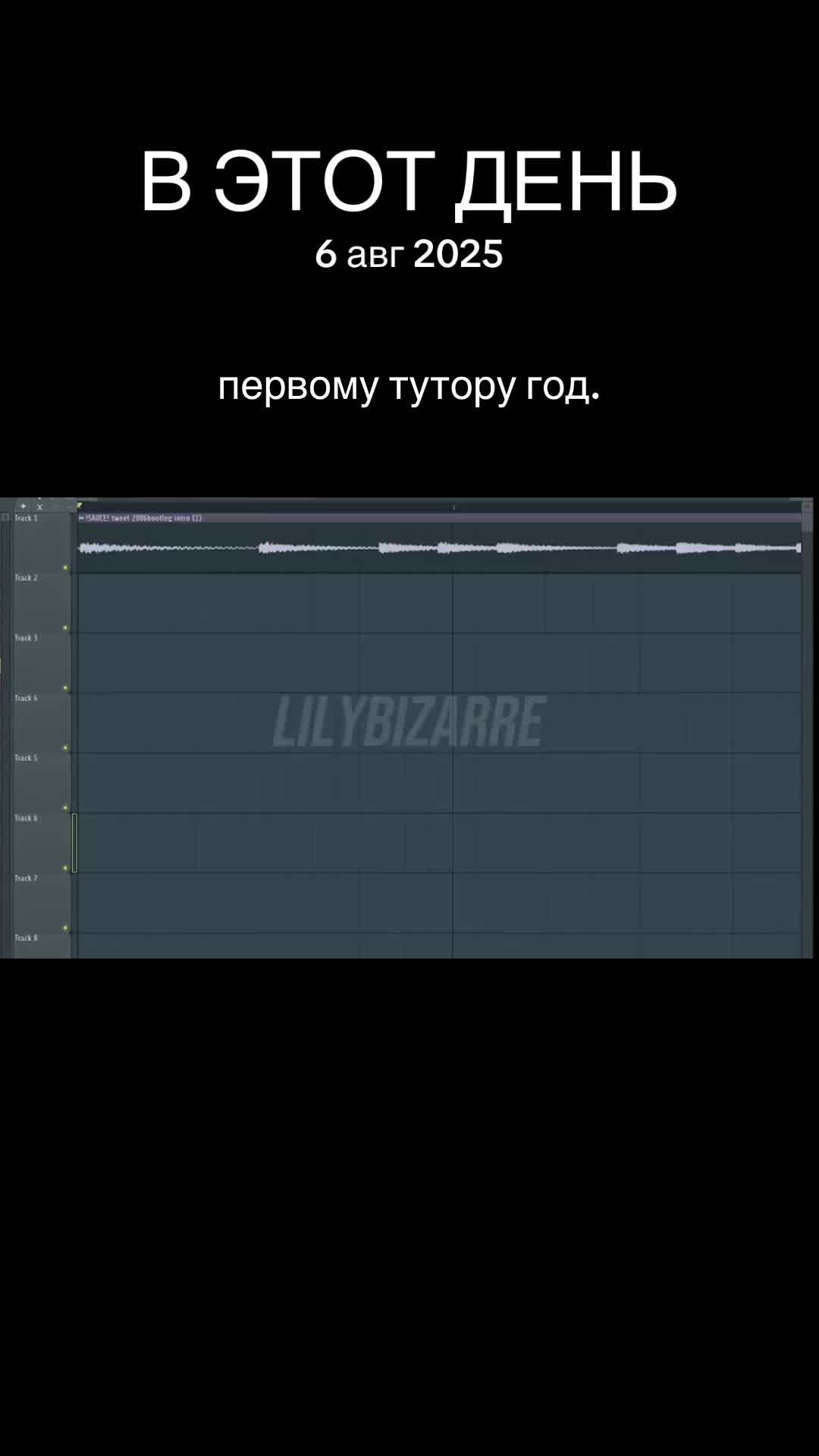 @LILYBIZARRE