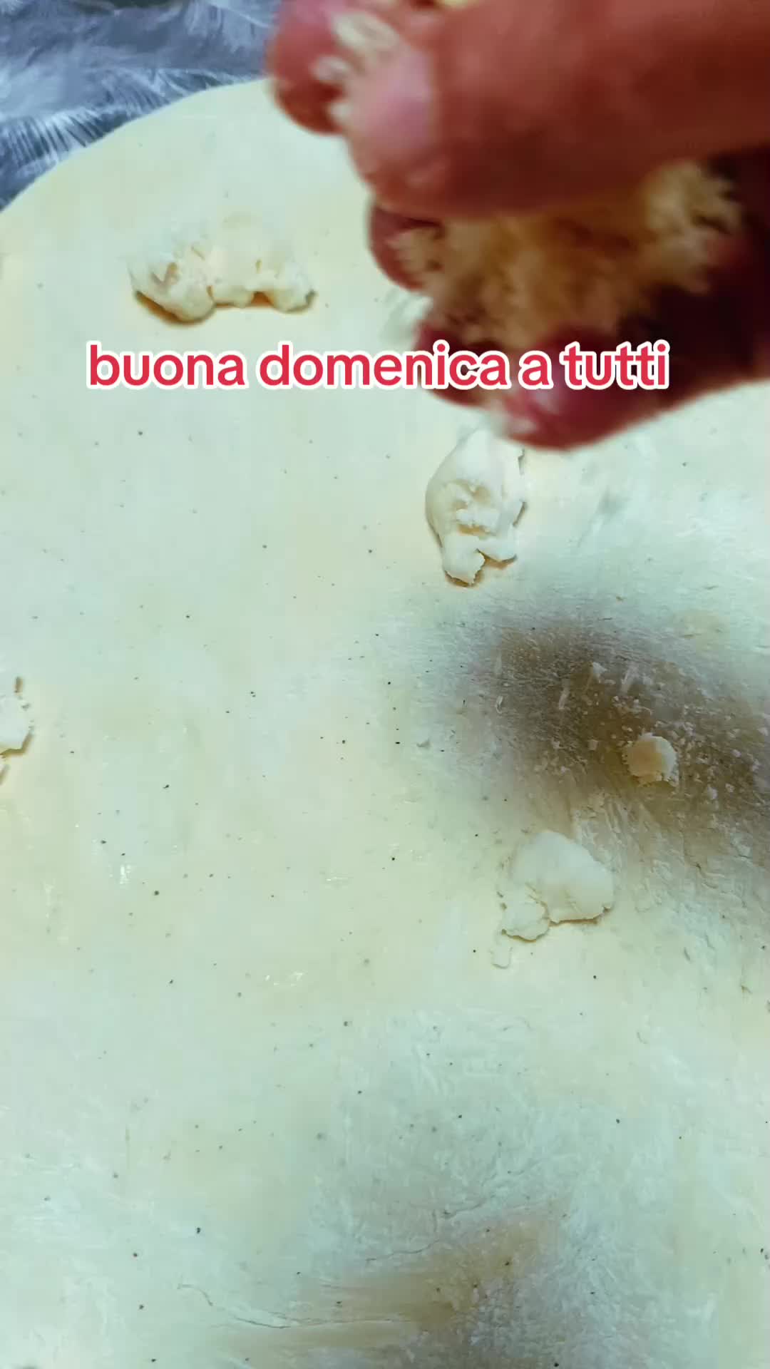 @Tina Romano
