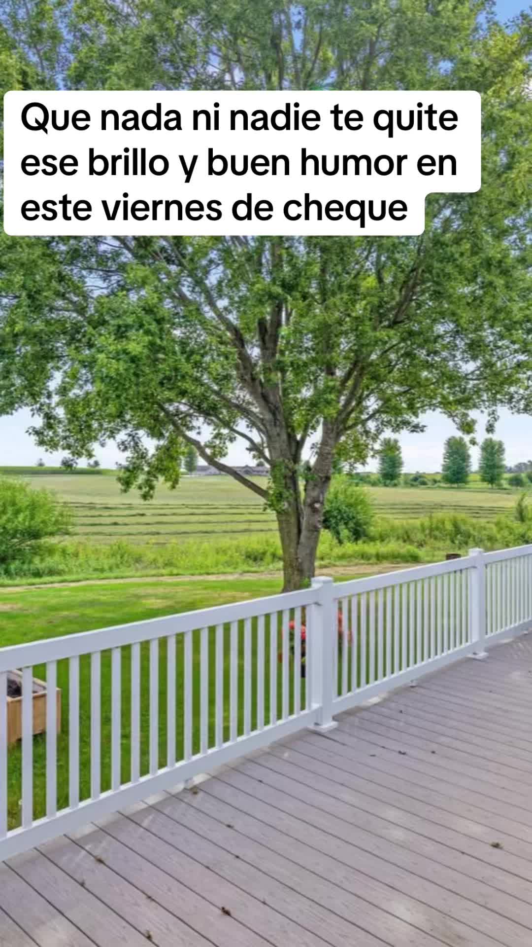 @magui