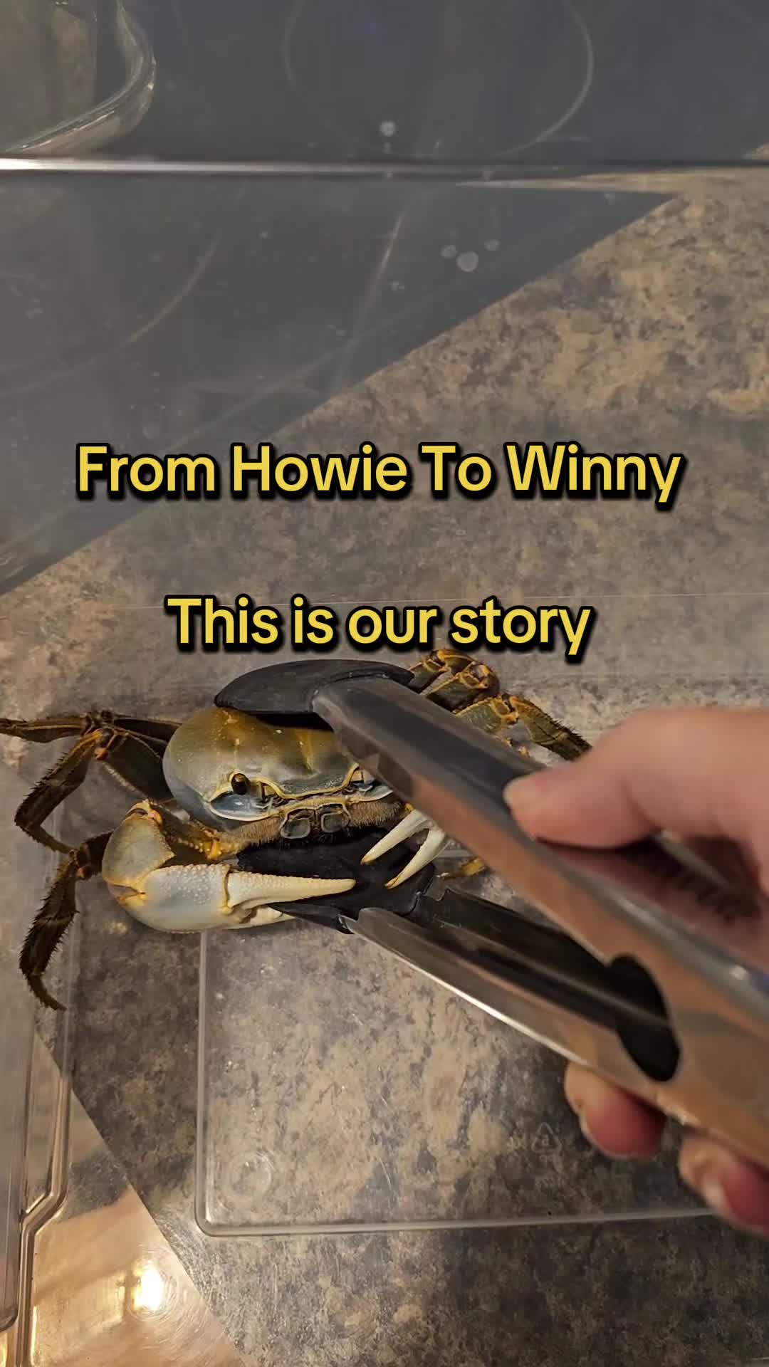 @Howie The Crab