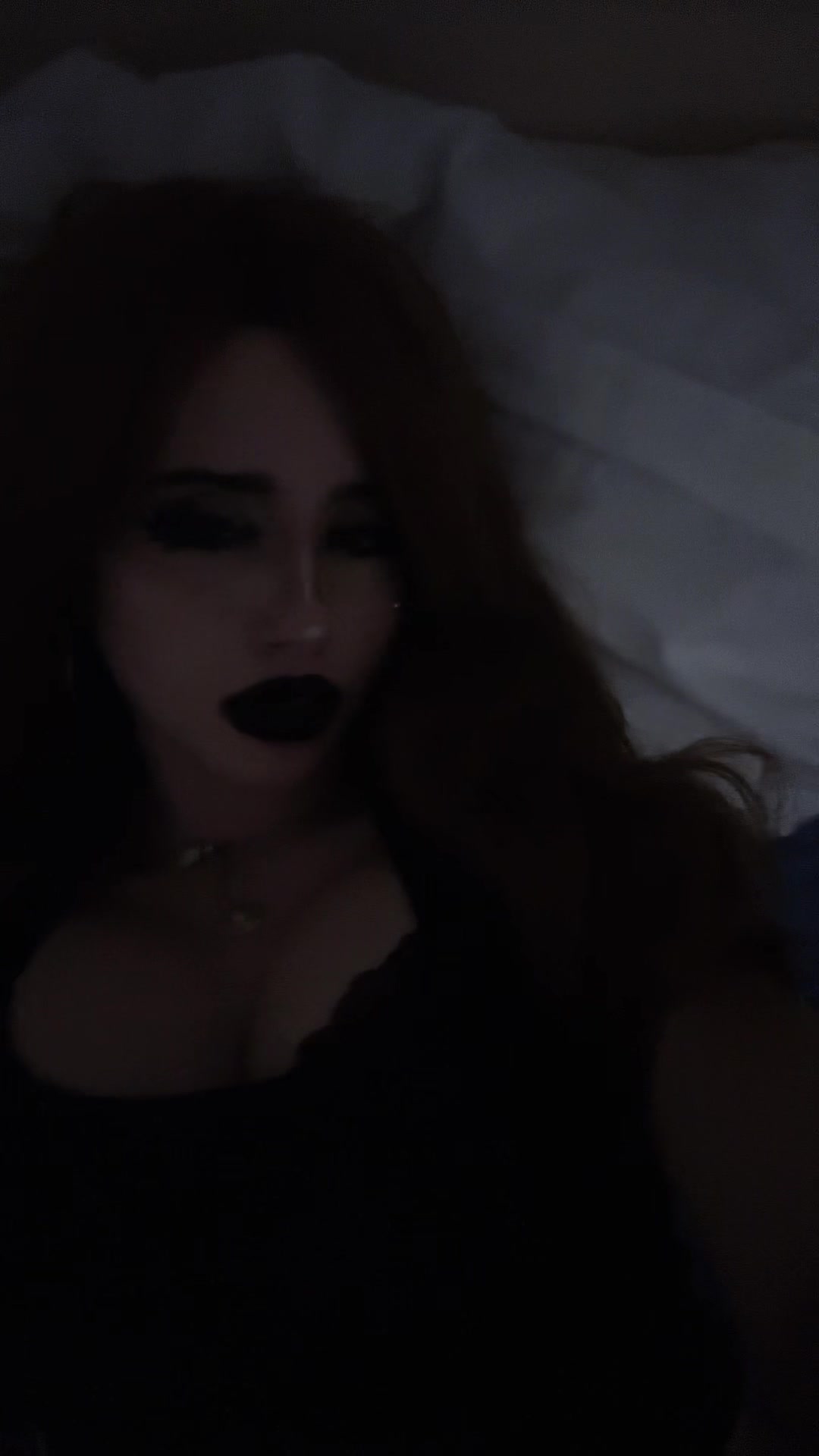 @chatdinosaure
