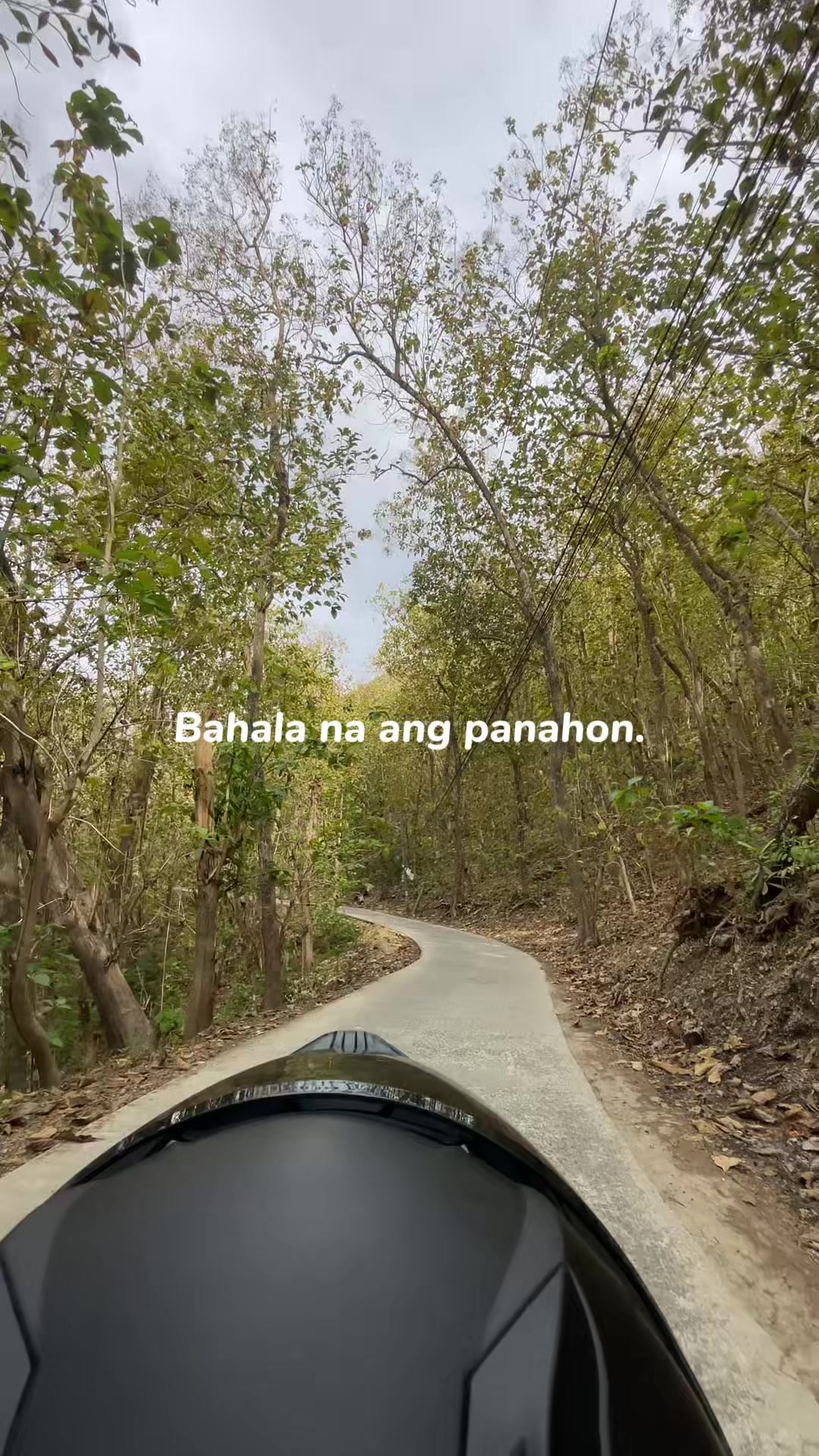 @Opacarophile - Len