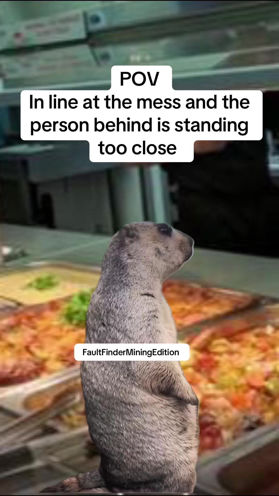 @faultfinder