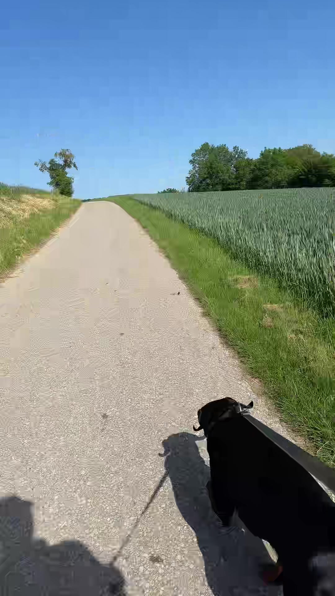 @Man&hisDobermann