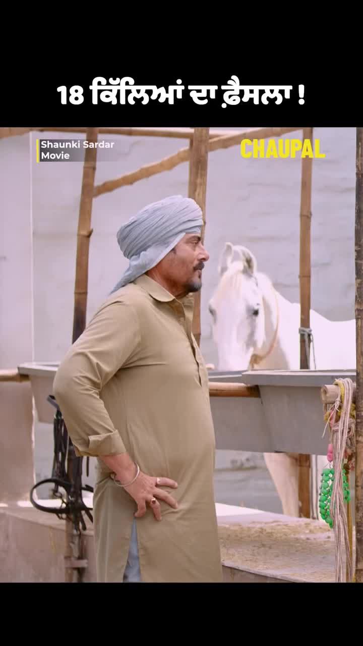 @Zara_Batool