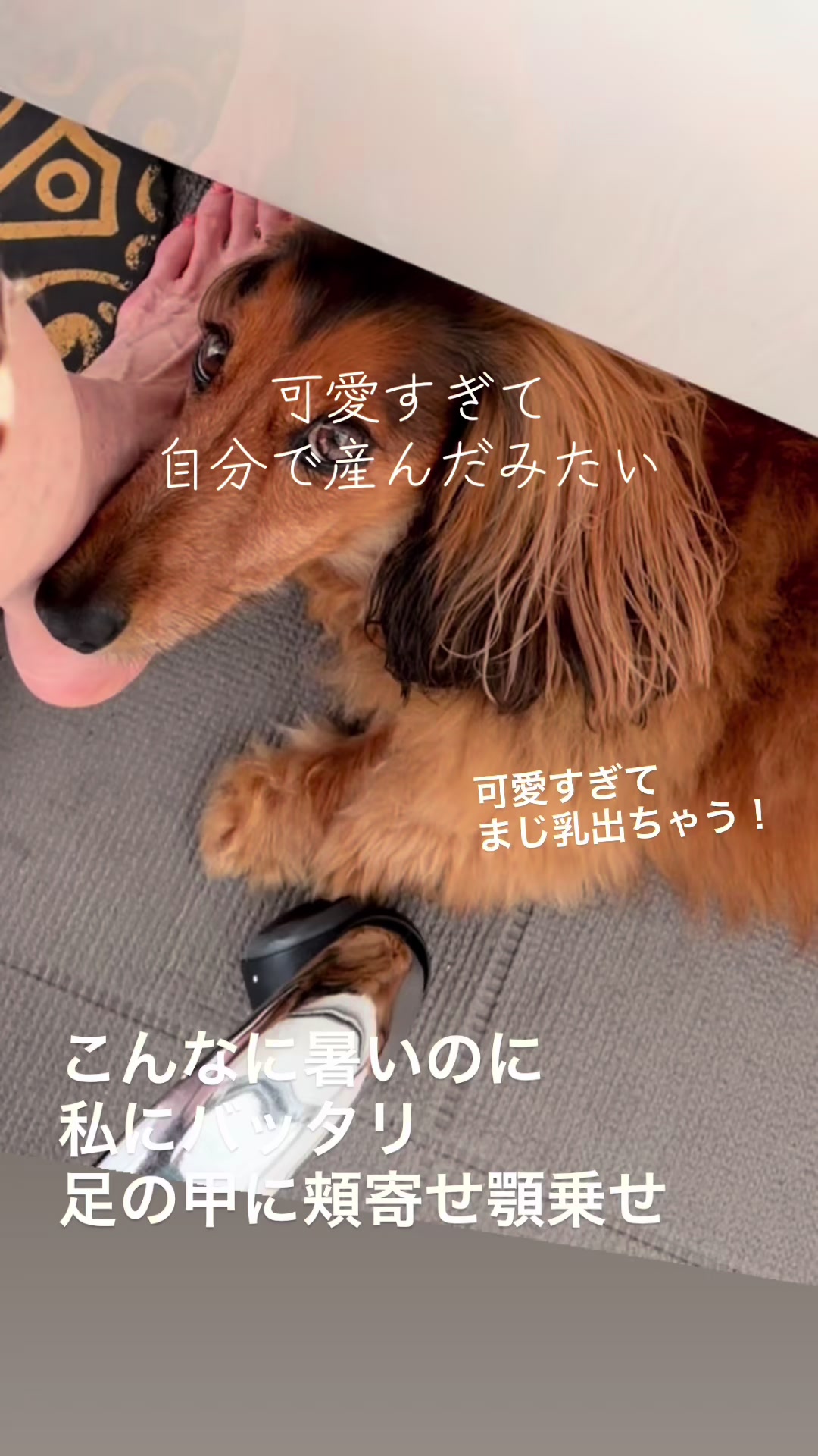 @pon _sachie