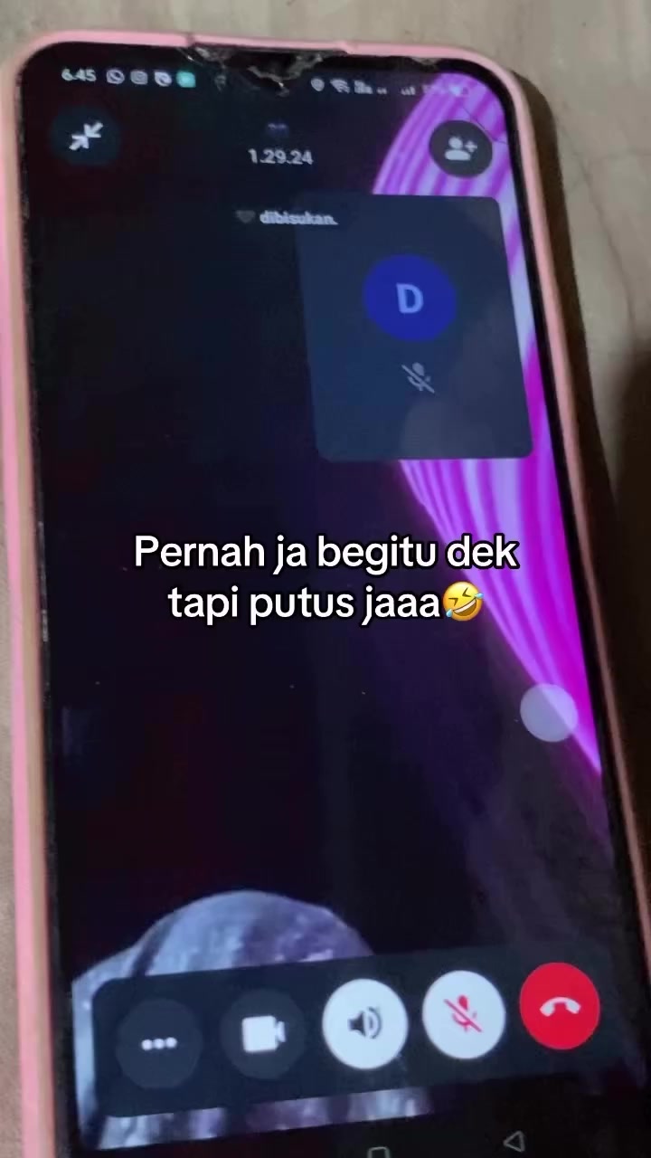 @lisa