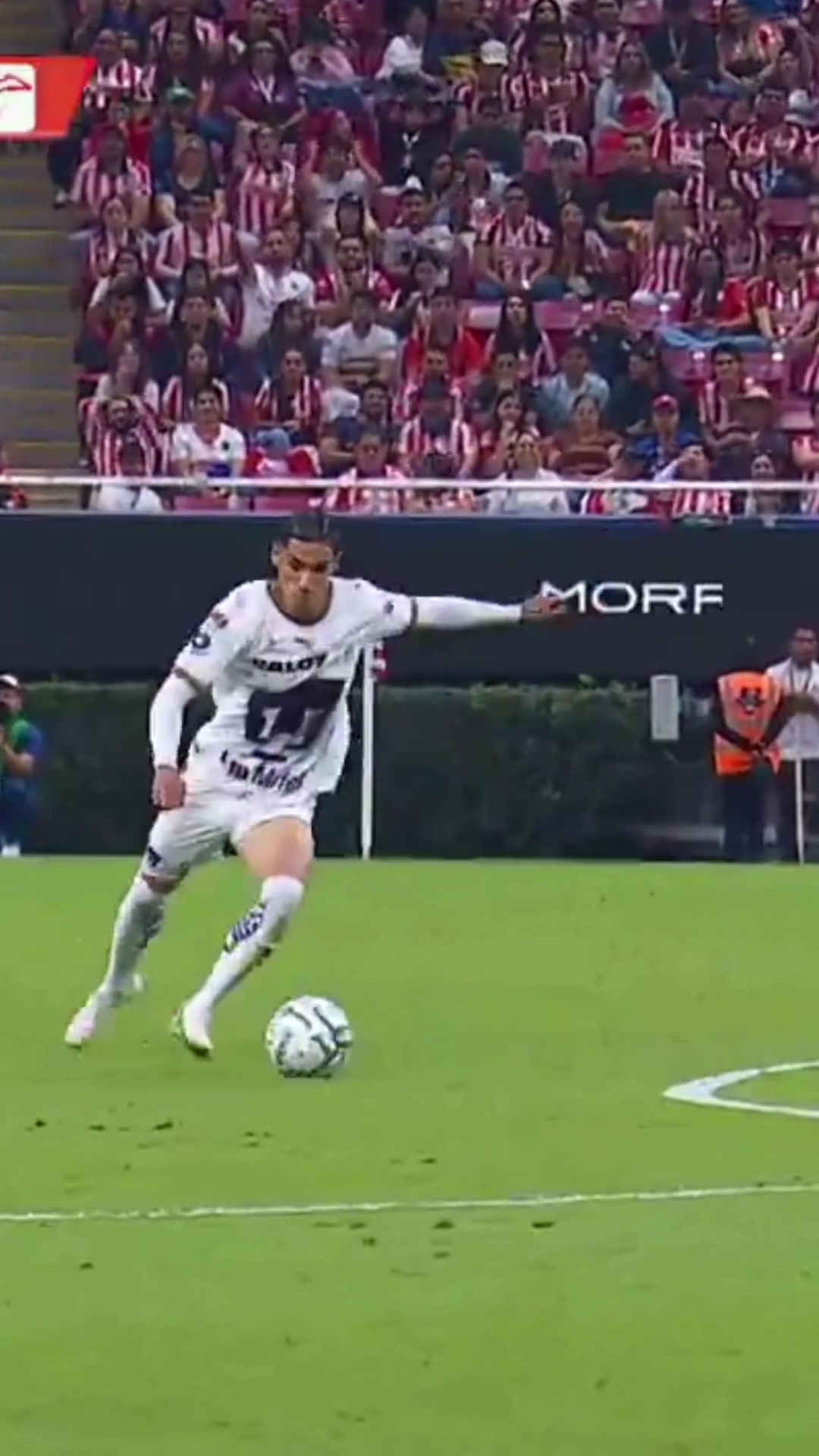 @Liga BBVA MX