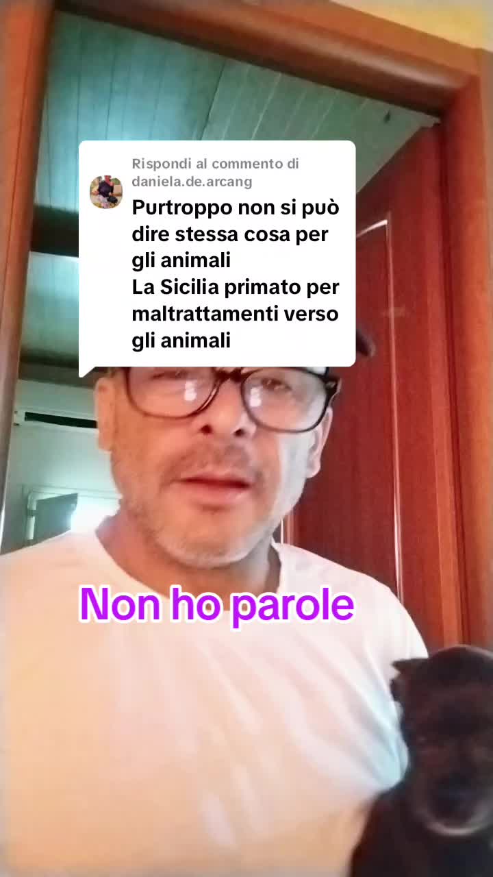 @Carmela Napoli