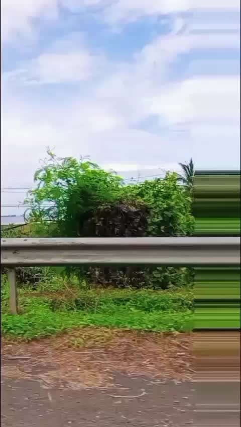 @shidiq_8