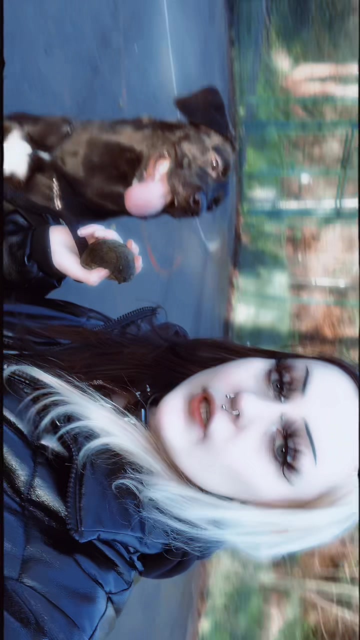 @✰lamb✰