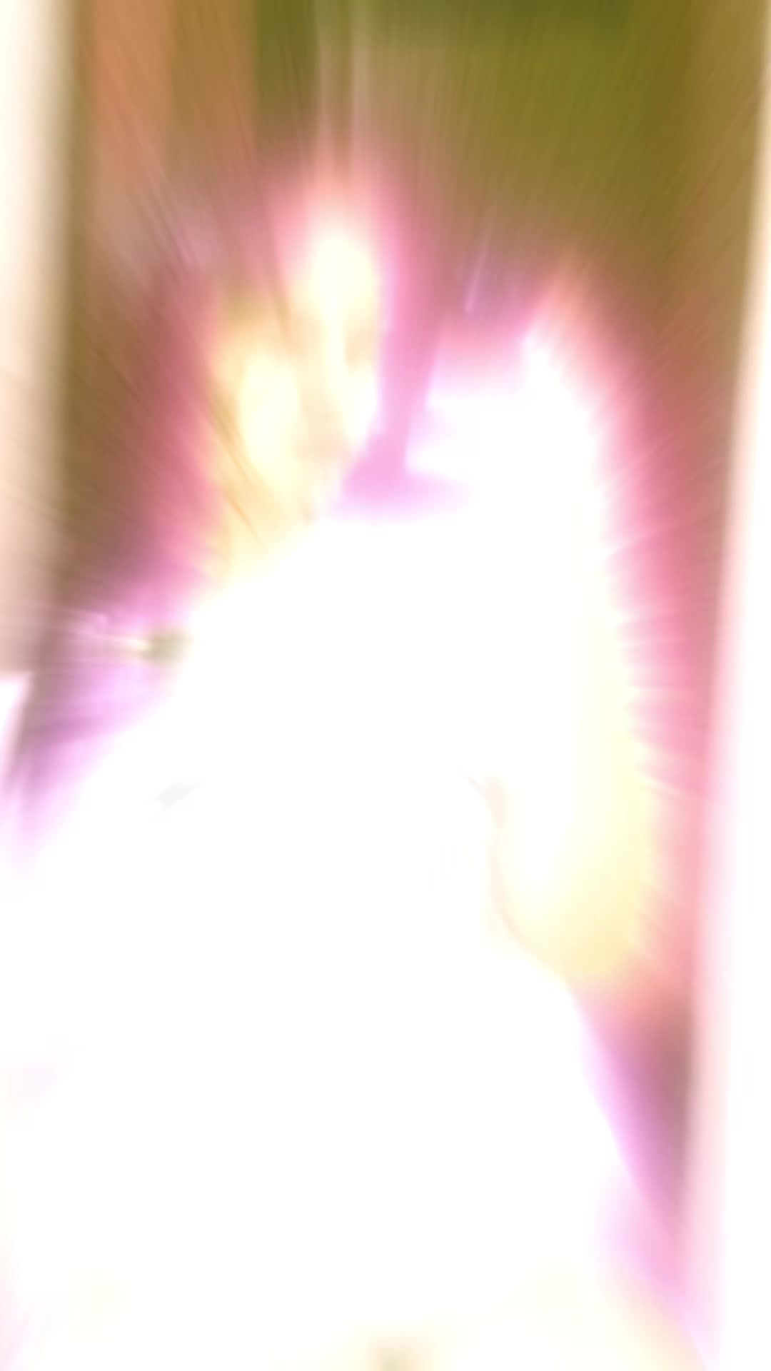 @Laly