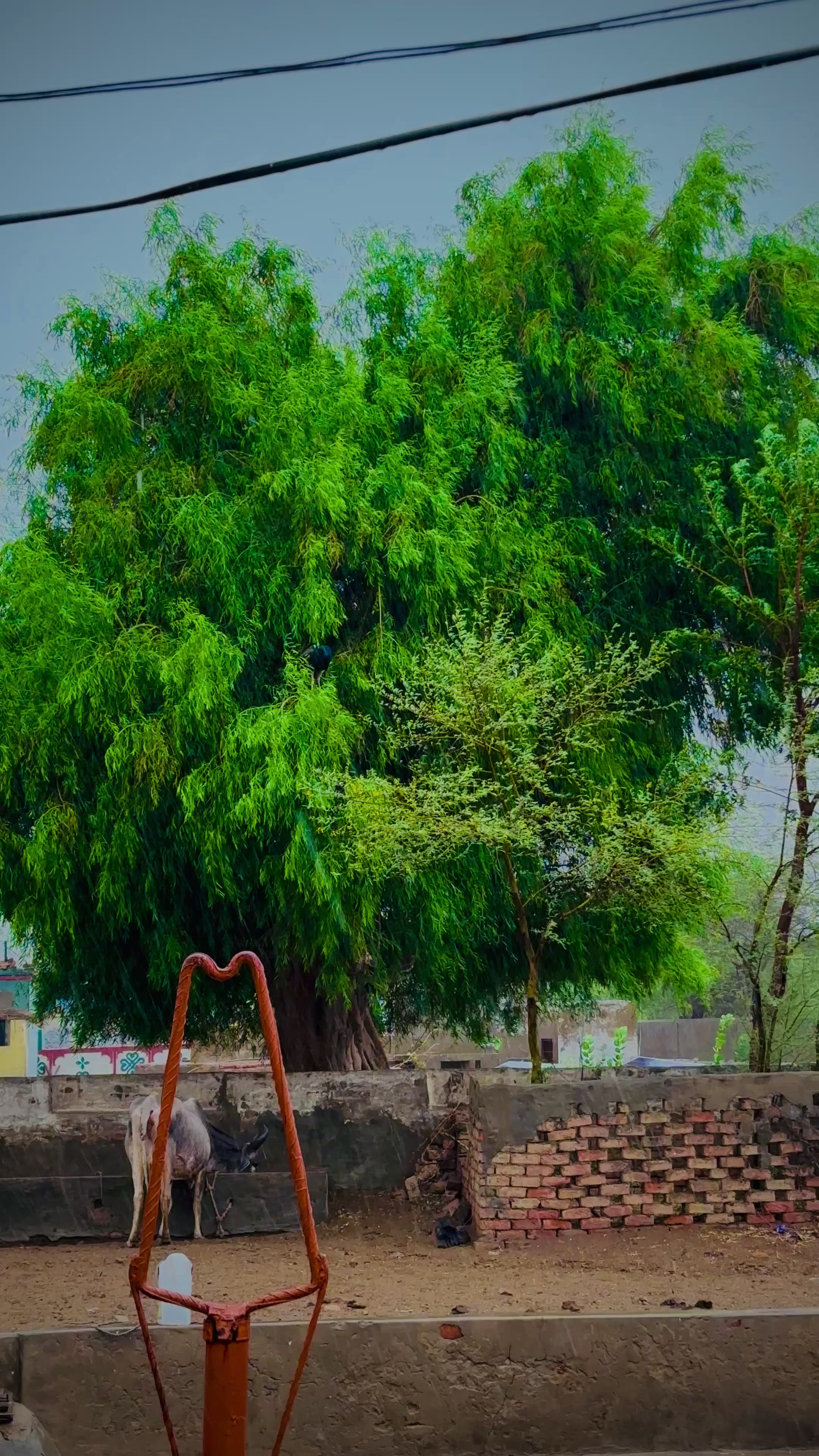 @D_K_SINGH💥💫