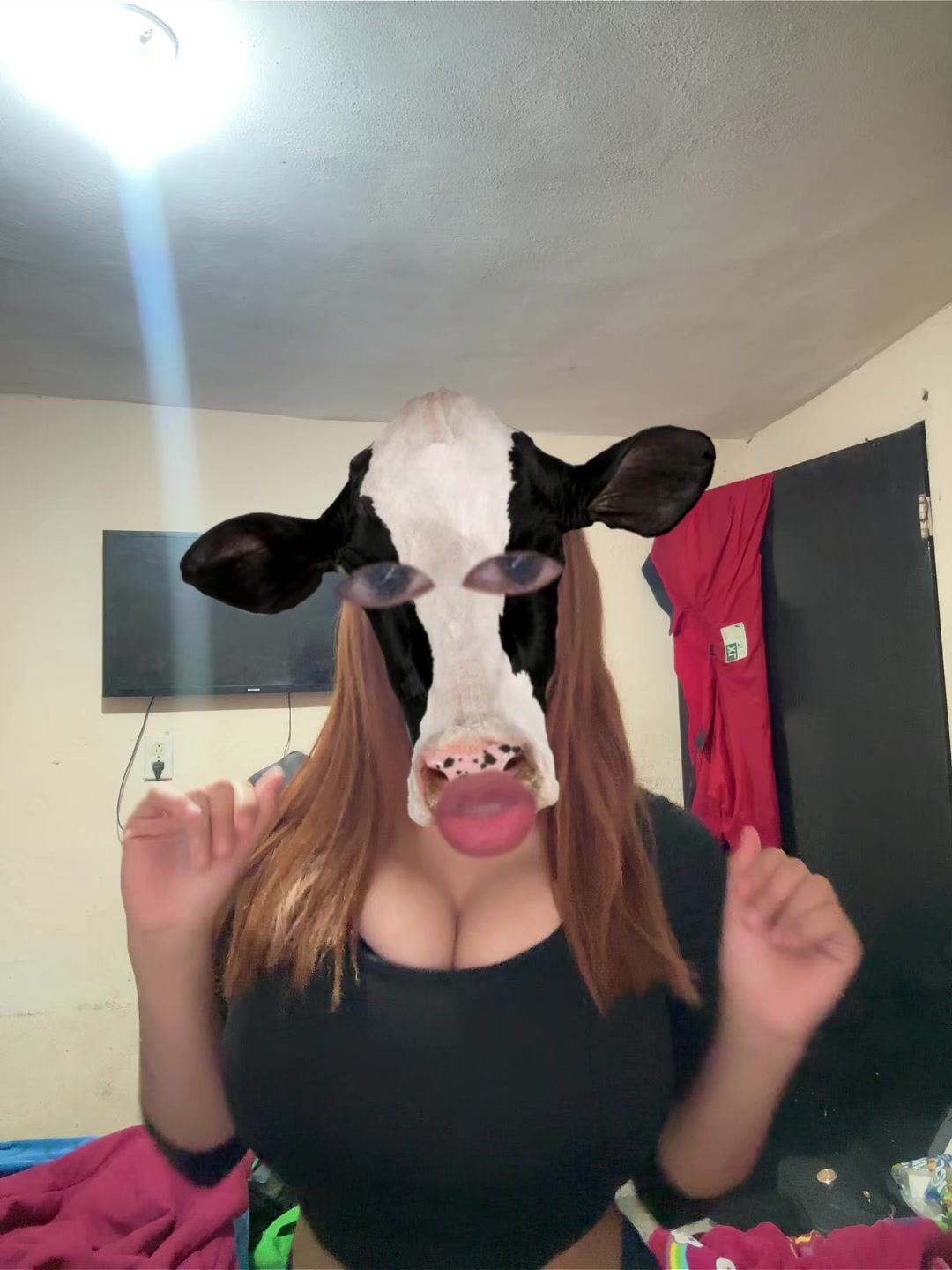 @sari
