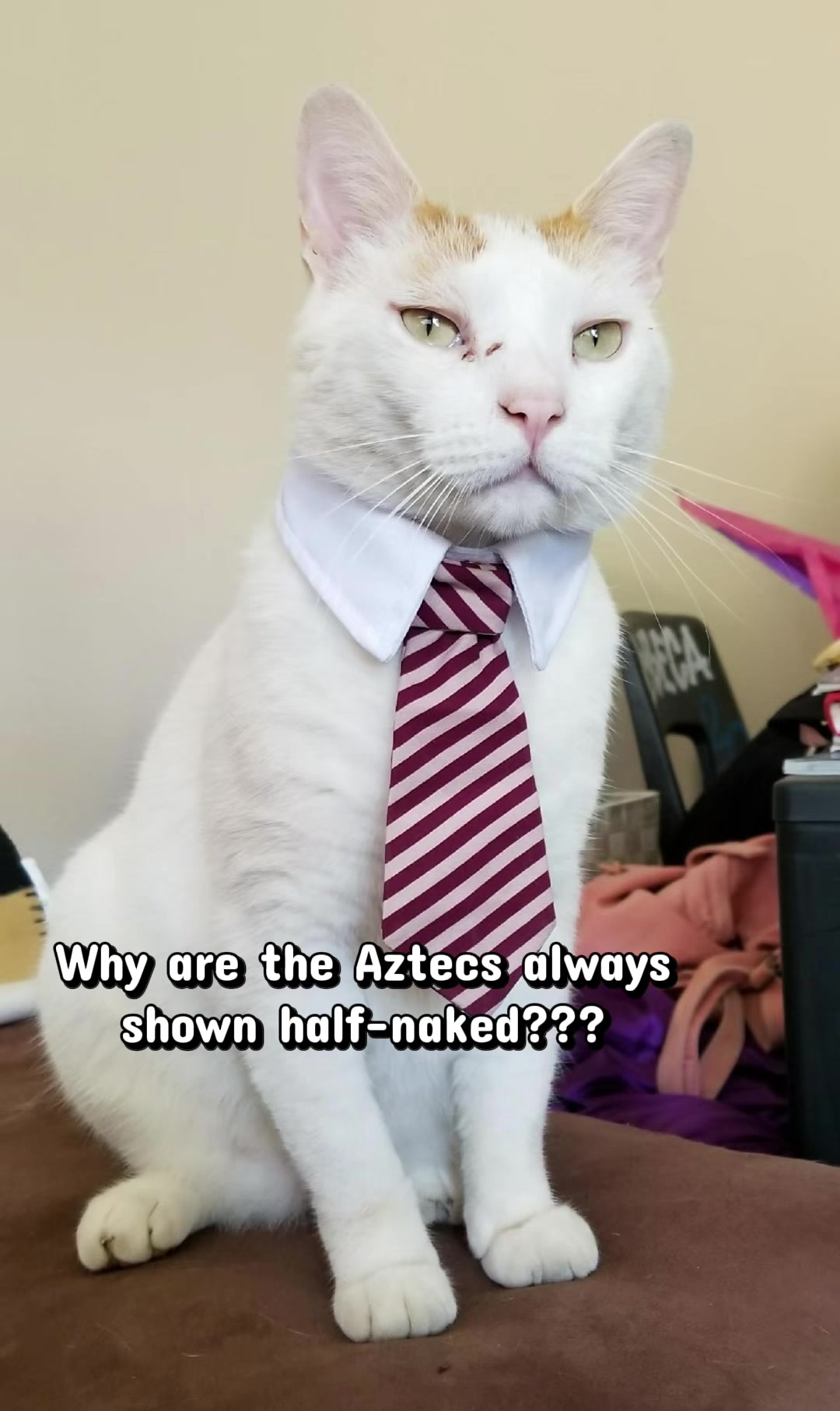 @The Appalachian kitties