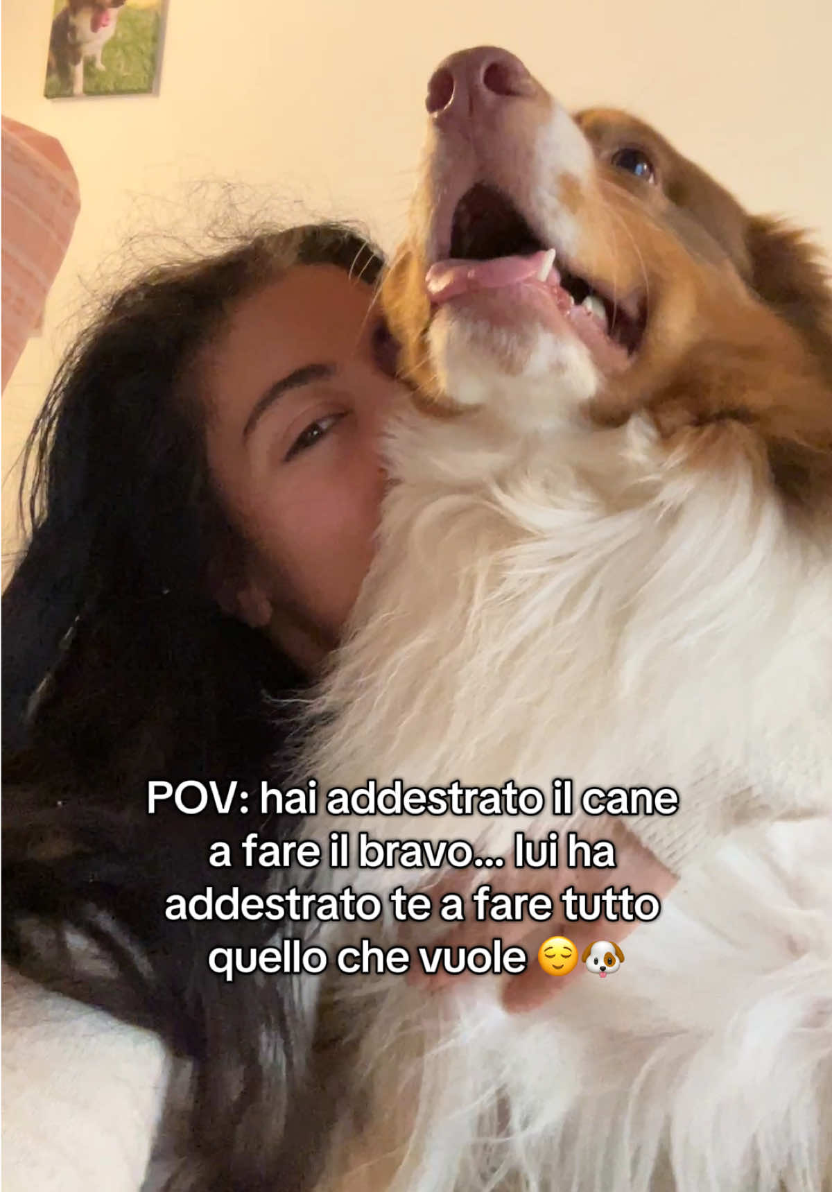 @Noeandfur 🐶🐾
