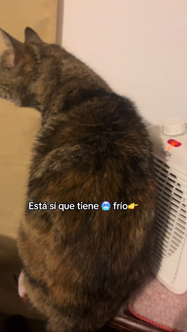 @Esthy la de siempre