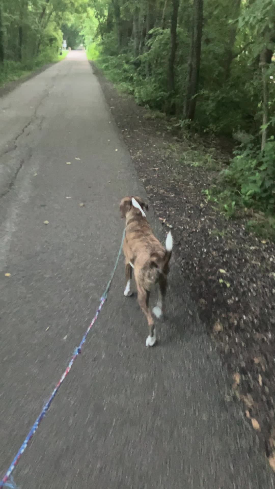 @Hikingwithstanley