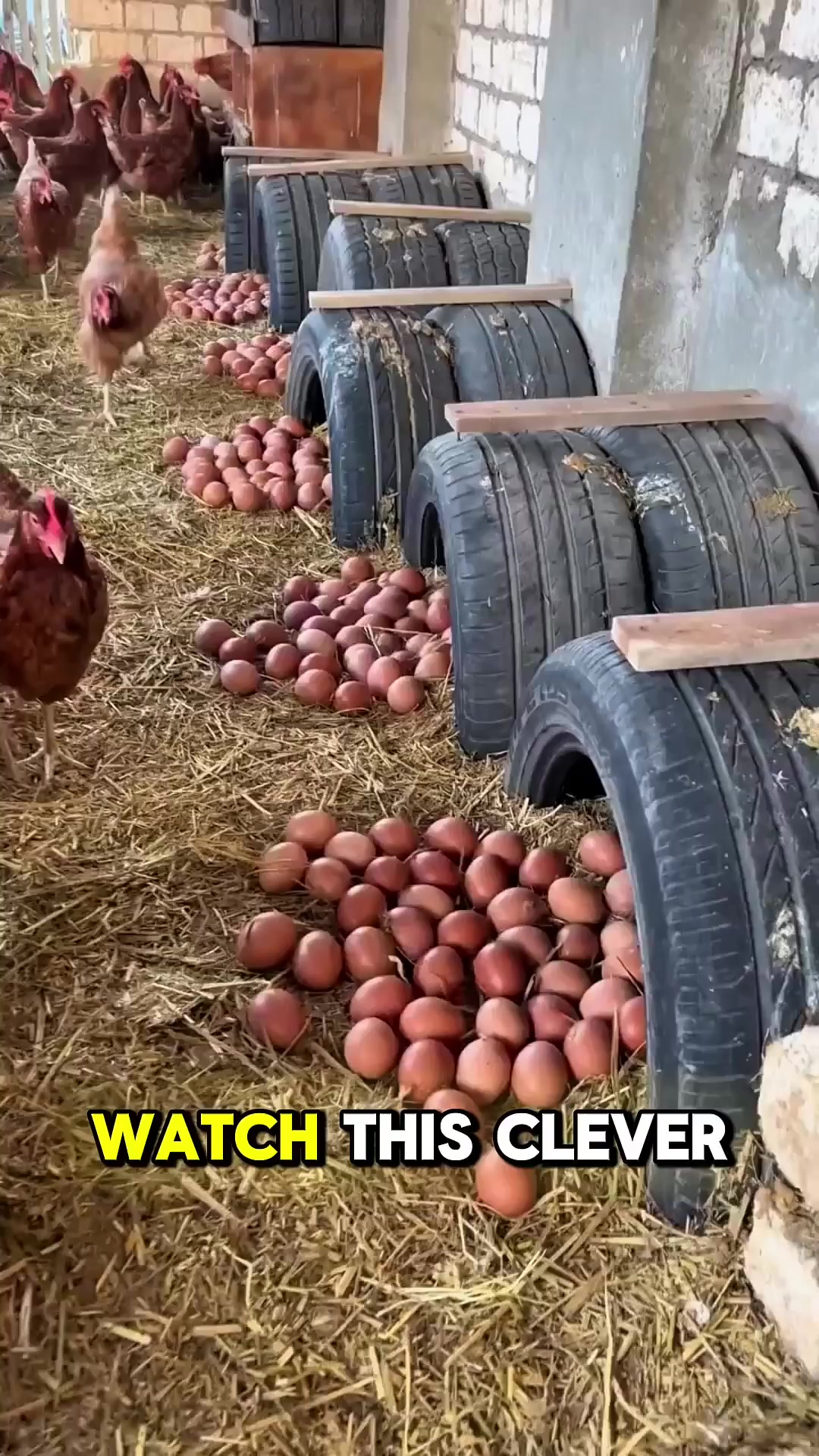 @45sec_facts