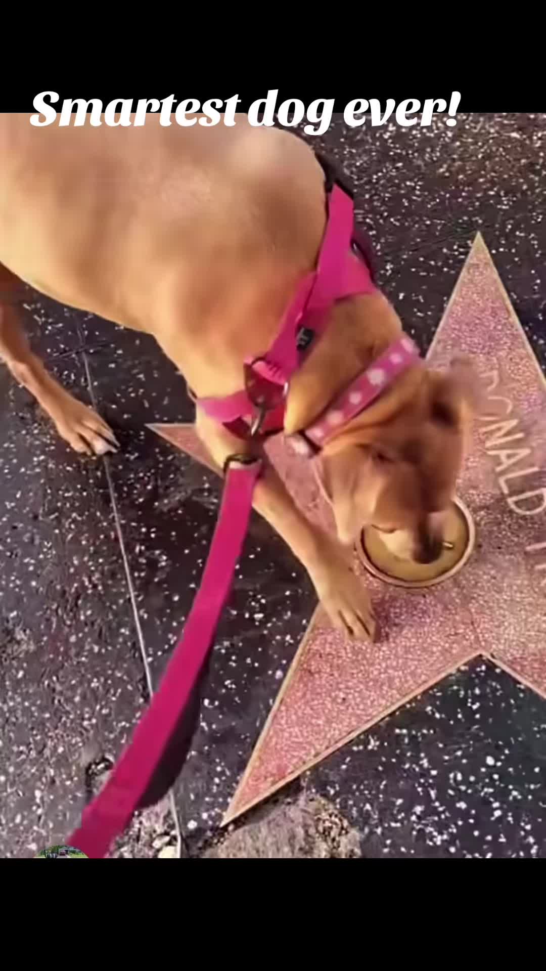 @GenXjeff