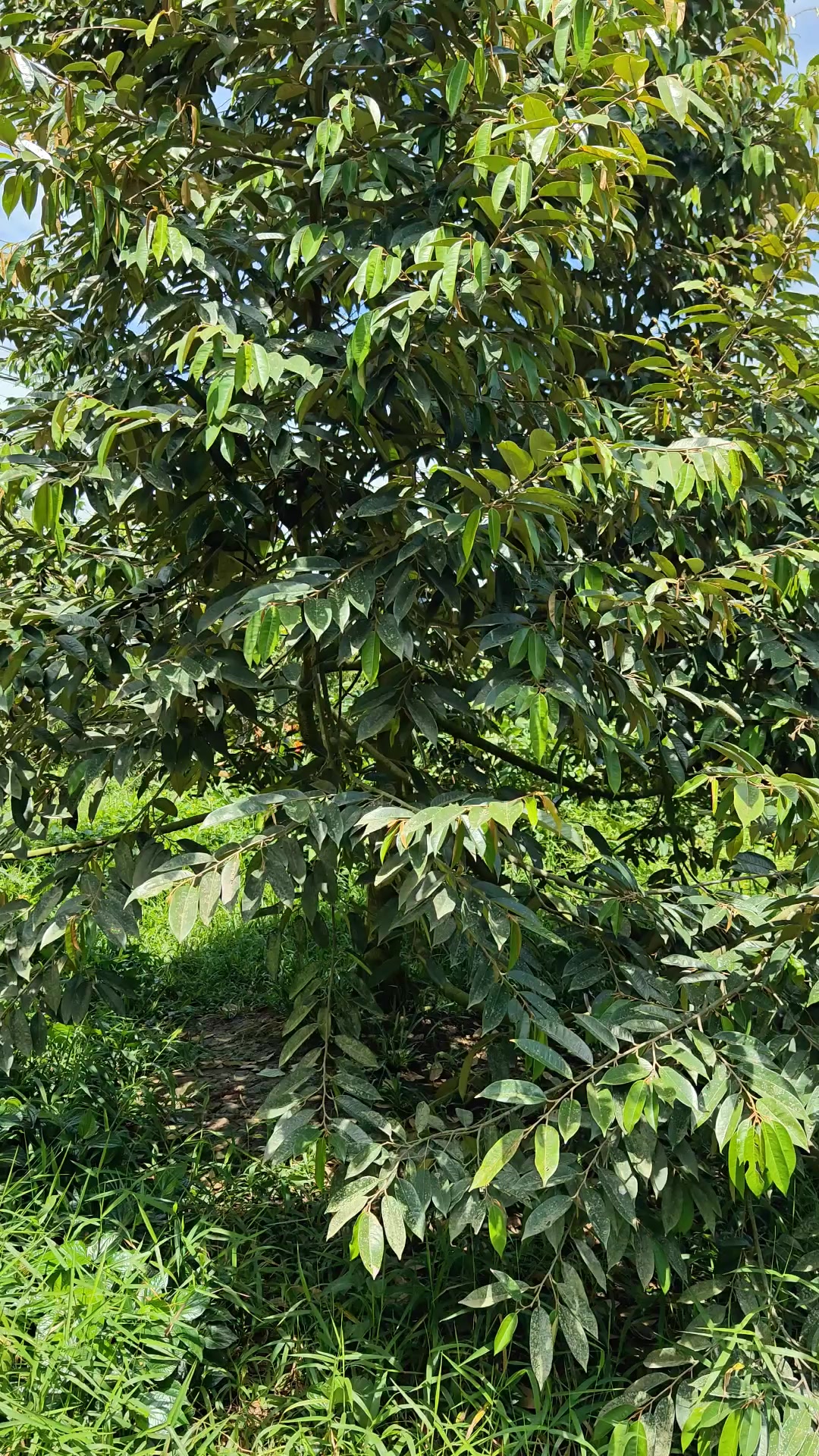@Bất Động Sản Cần Thơ