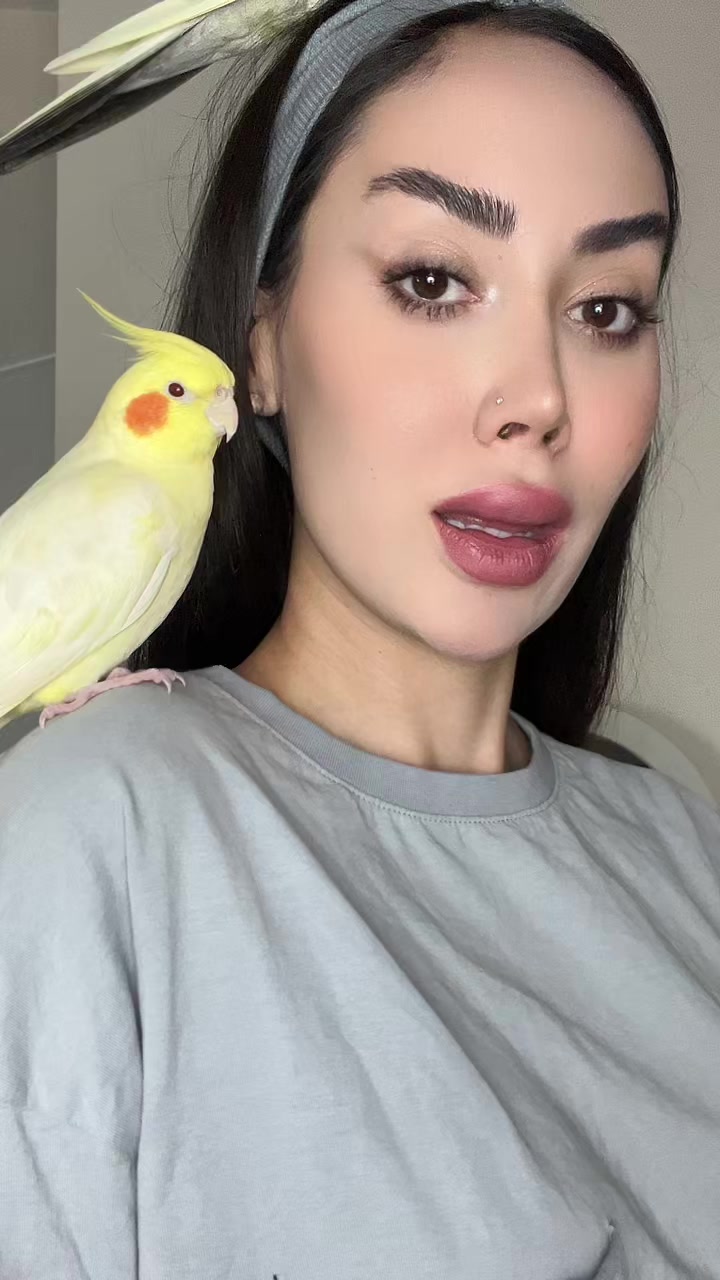 @frnzmohmdi