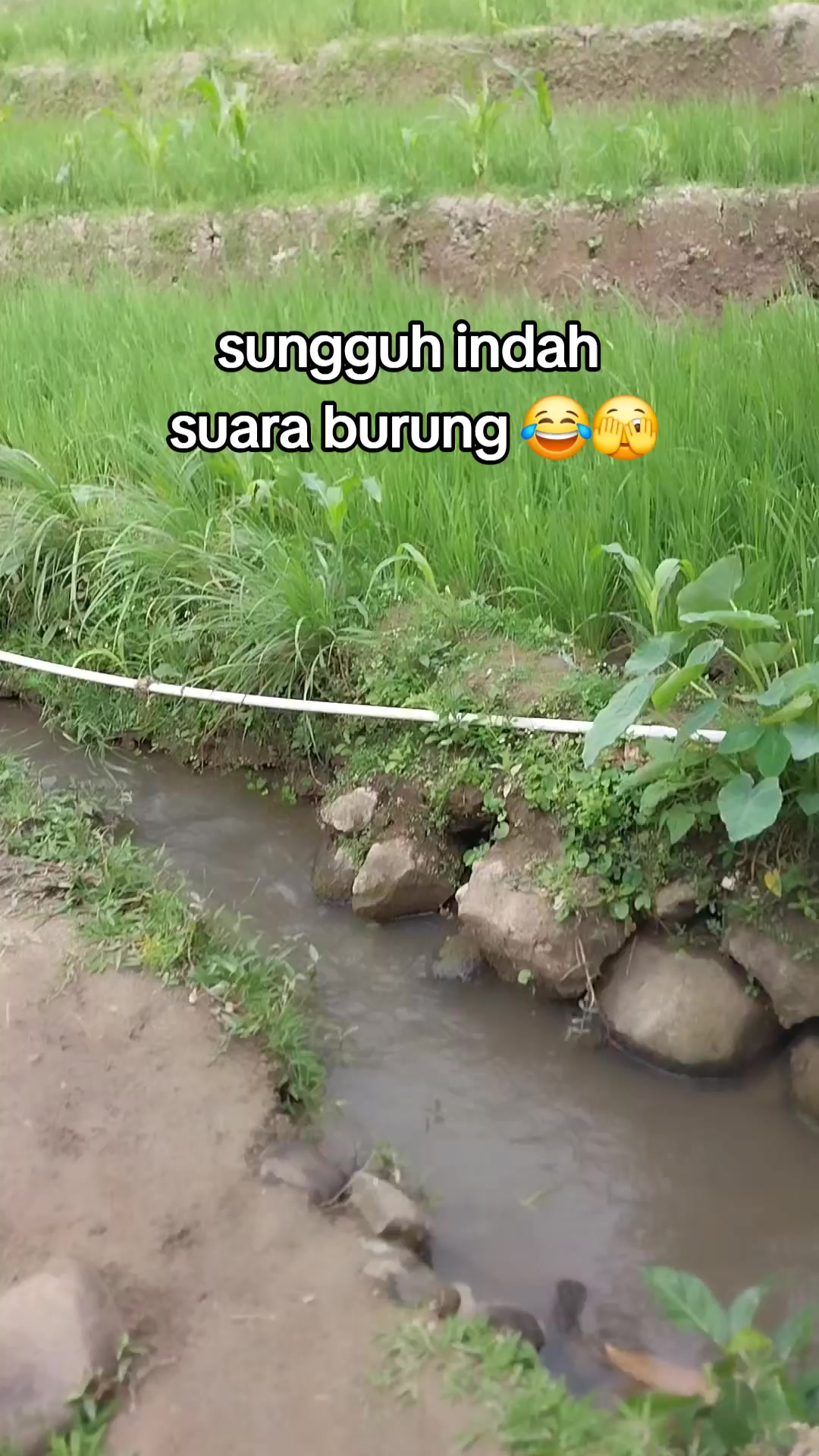 @Sido Mulyo