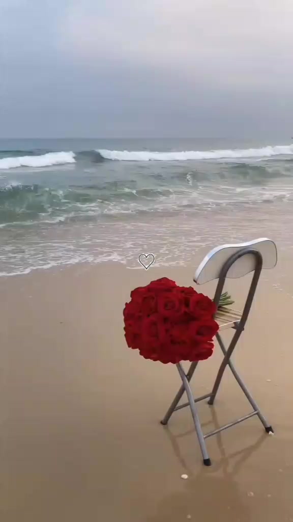@Feruu 🦅