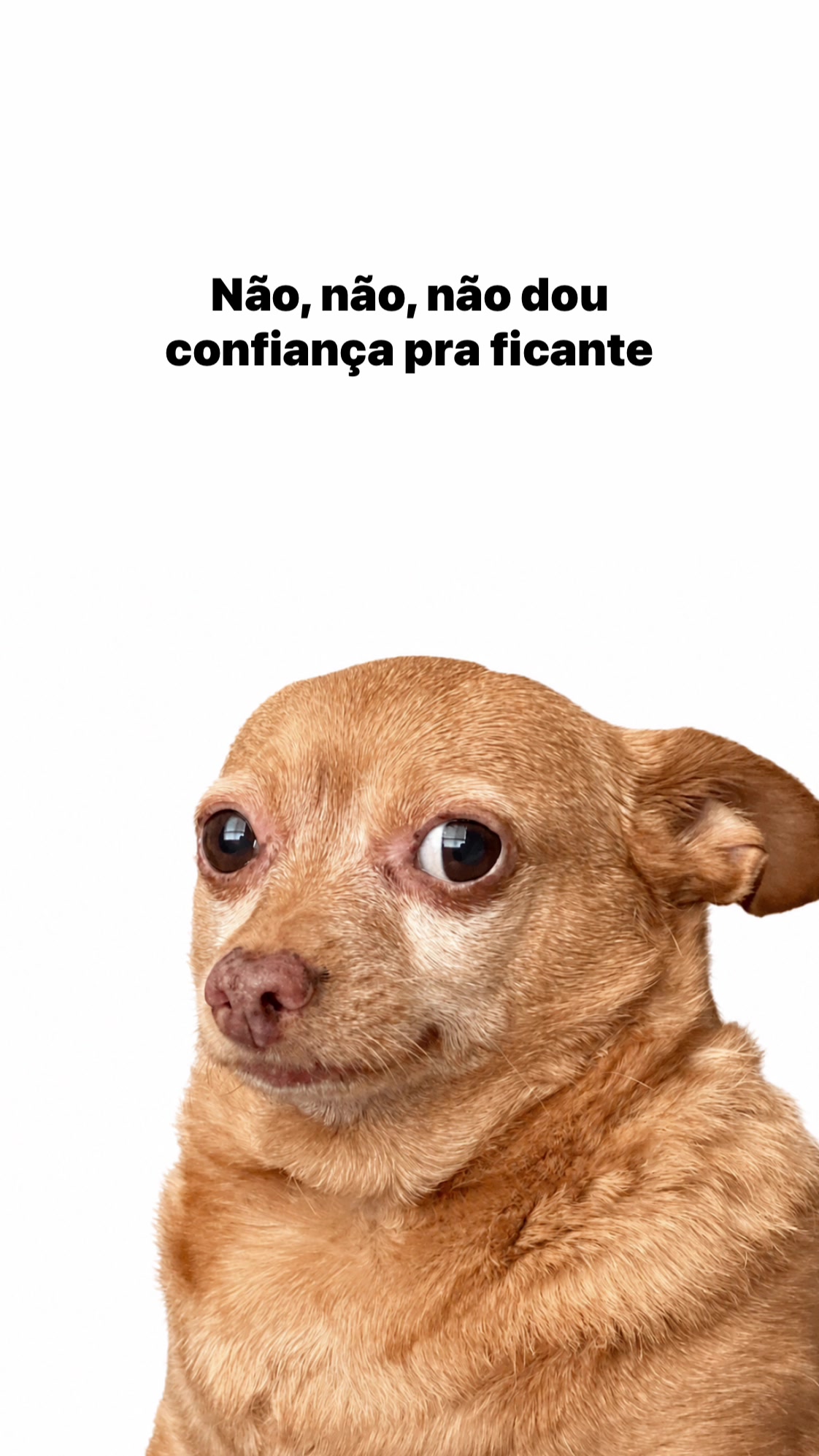 @user1606