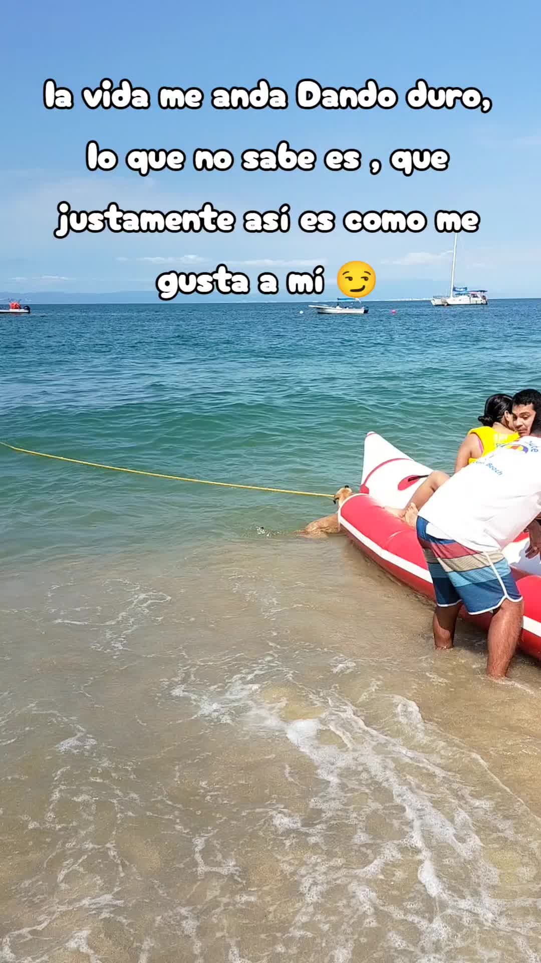 @neryzmar
