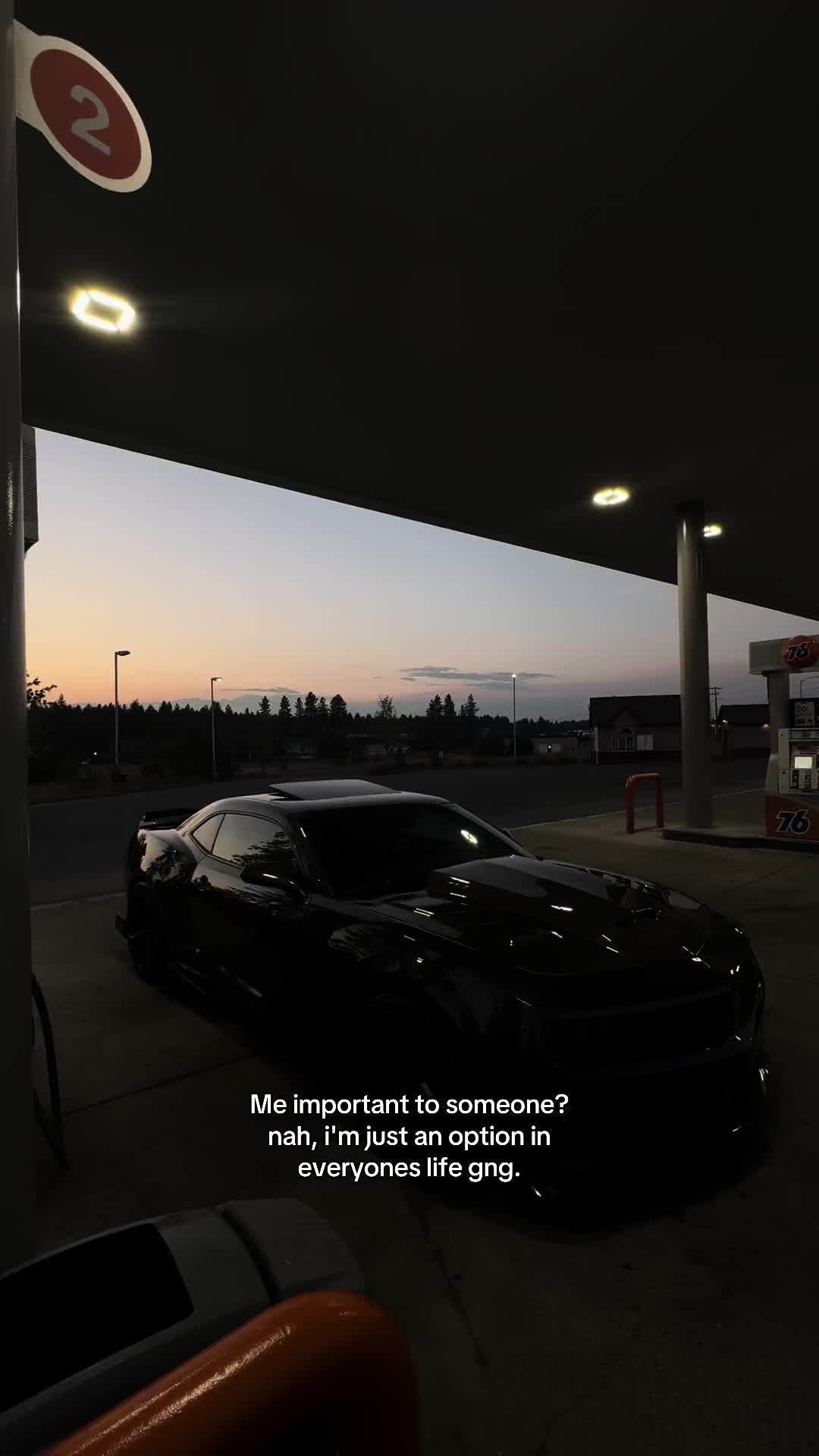 @midnight_zl1