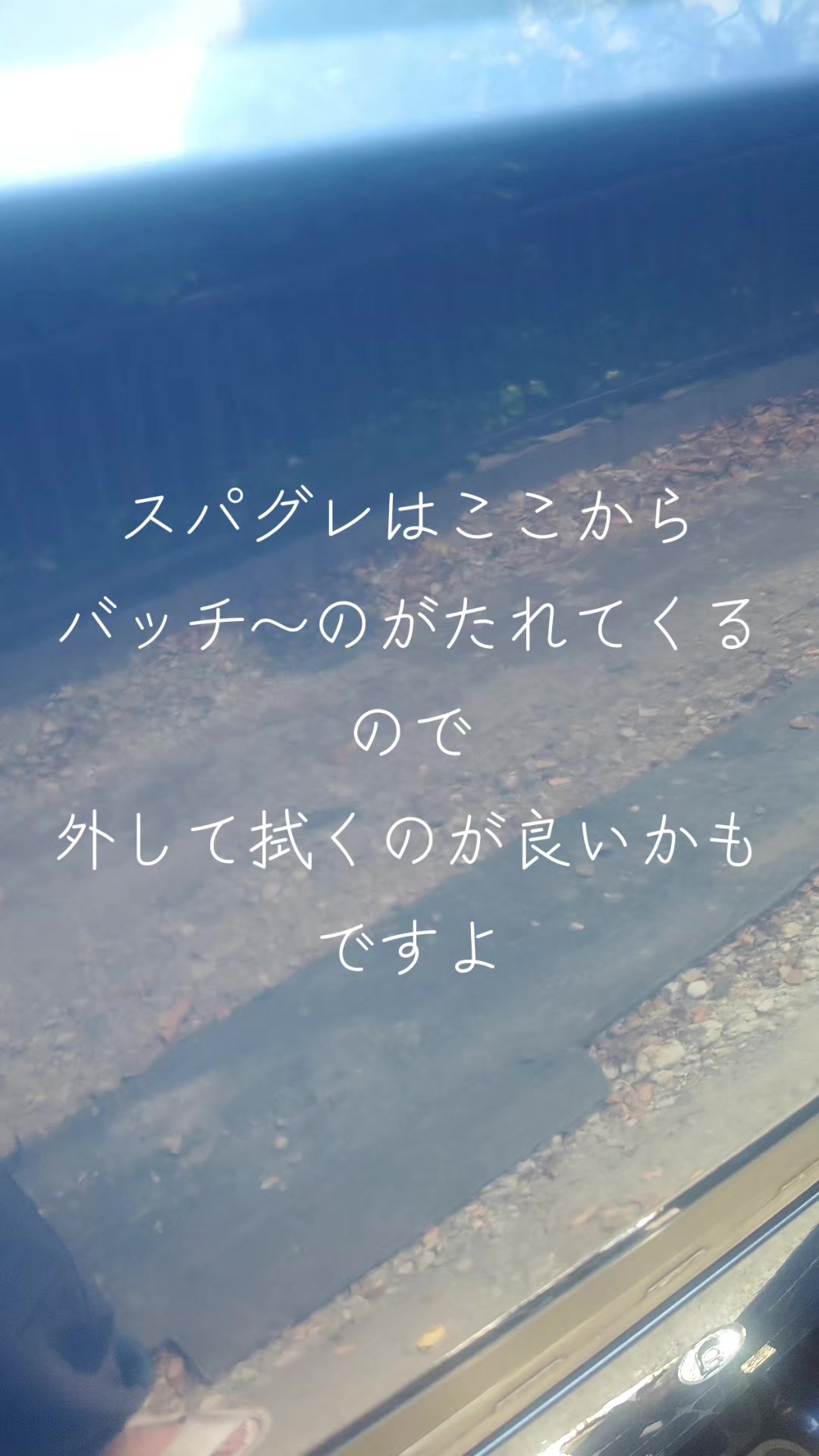@マジカルな🙄ずんだひろし？？