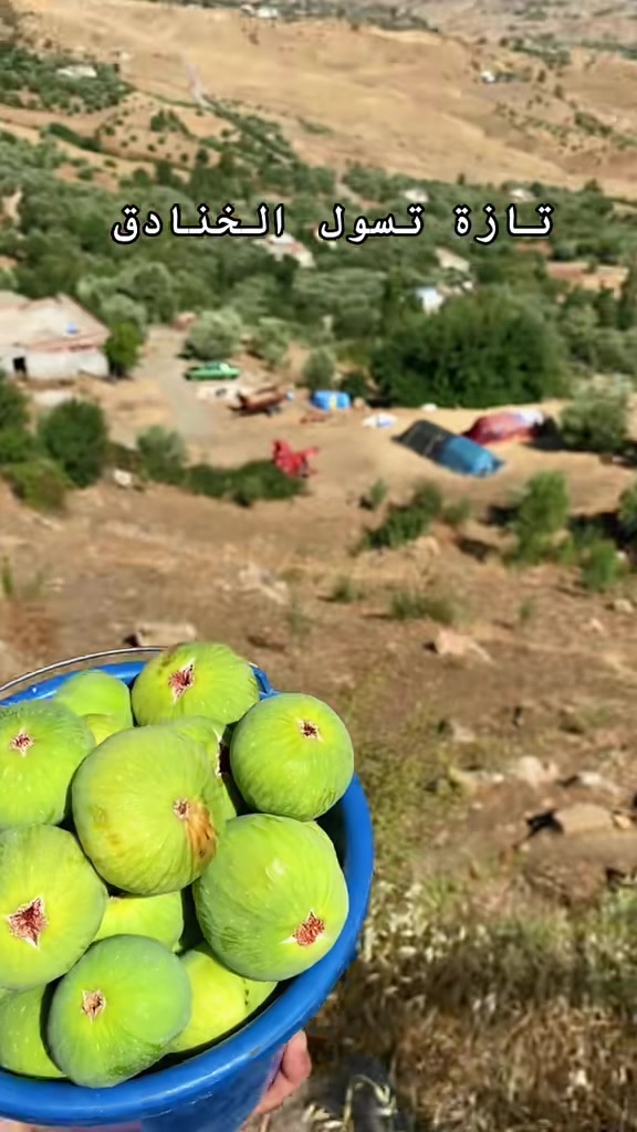 @عبدالرزآق فريكل