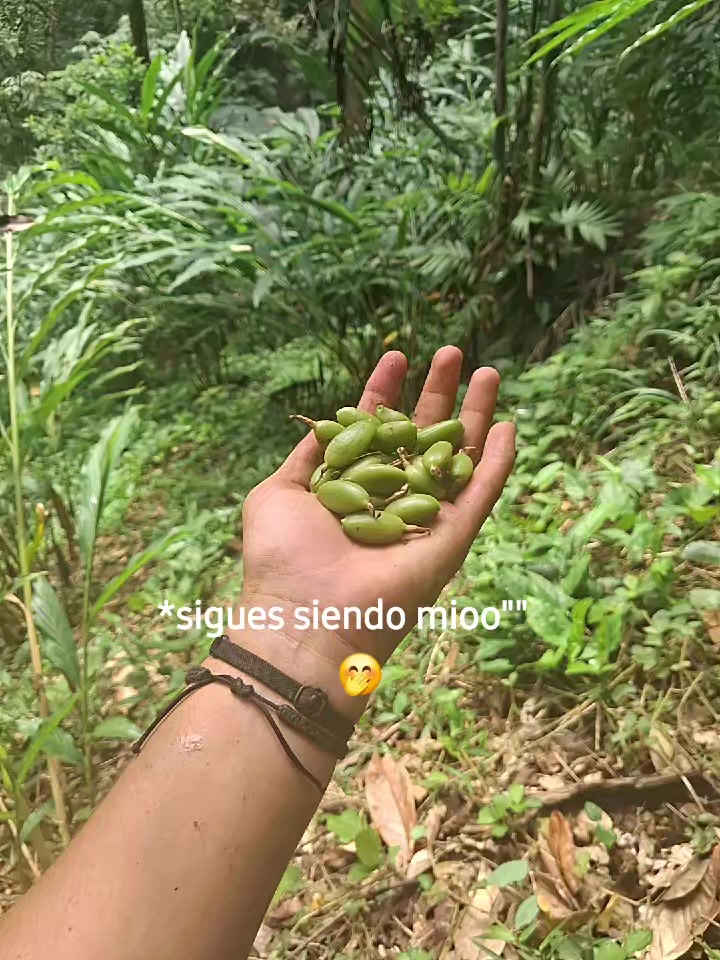 @👤...Y🦫