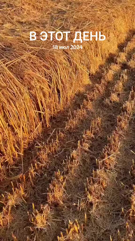 @A_n_d_r_e_666