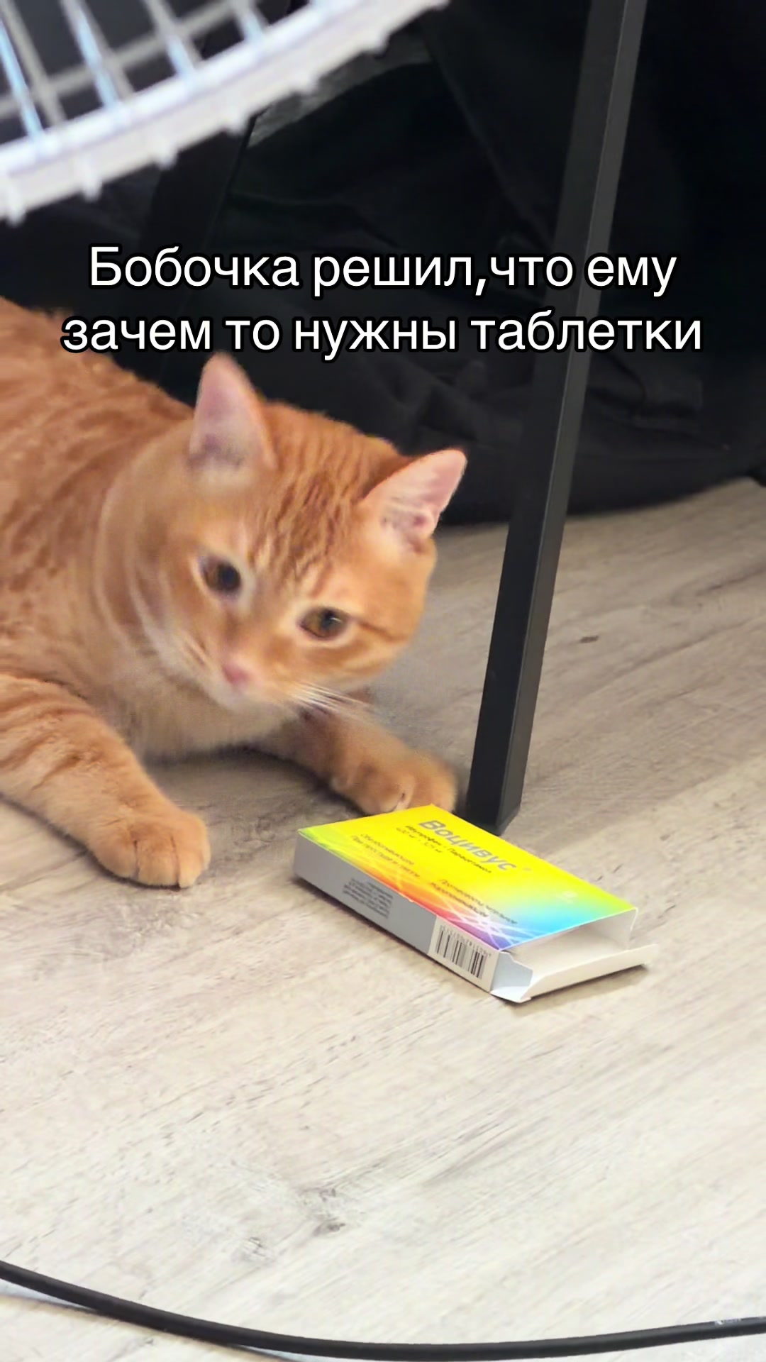 @кастрюля