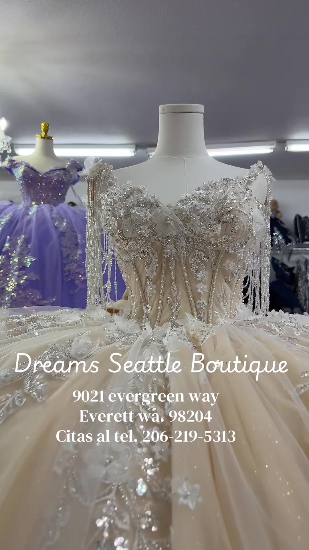 @1dreams.seattlebtq11.11
