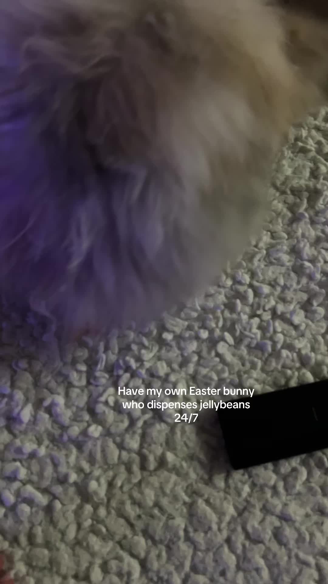 @catsspams22