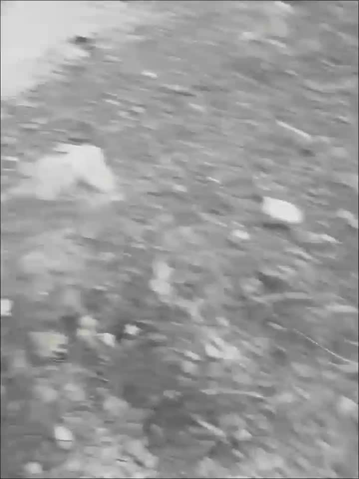 @ЗаХаРкА